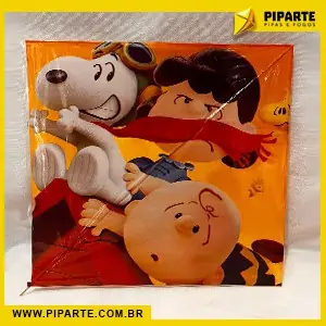 pipas, fogos, raias, foguete, rojão, fumaça, candelas, carretilhas, bombas, fitas, latas, linhas, porta linhas, tiros, tortas, seda